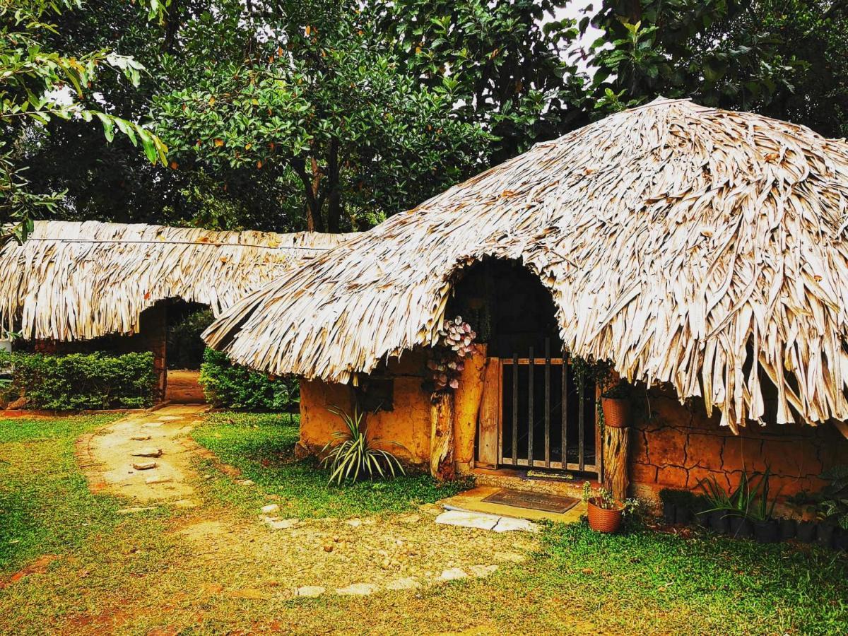 Hasthi Safari Cottage Удавалаве Екстер'єр фото