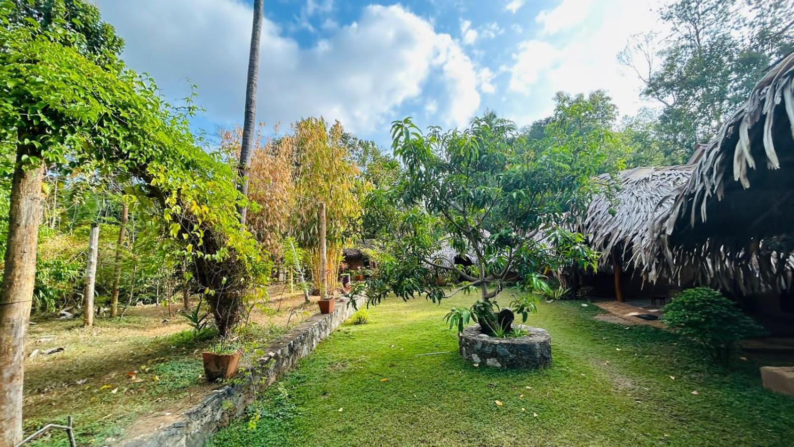 Hasthi Safari Cottage Удавалаве Екстер'єр фото