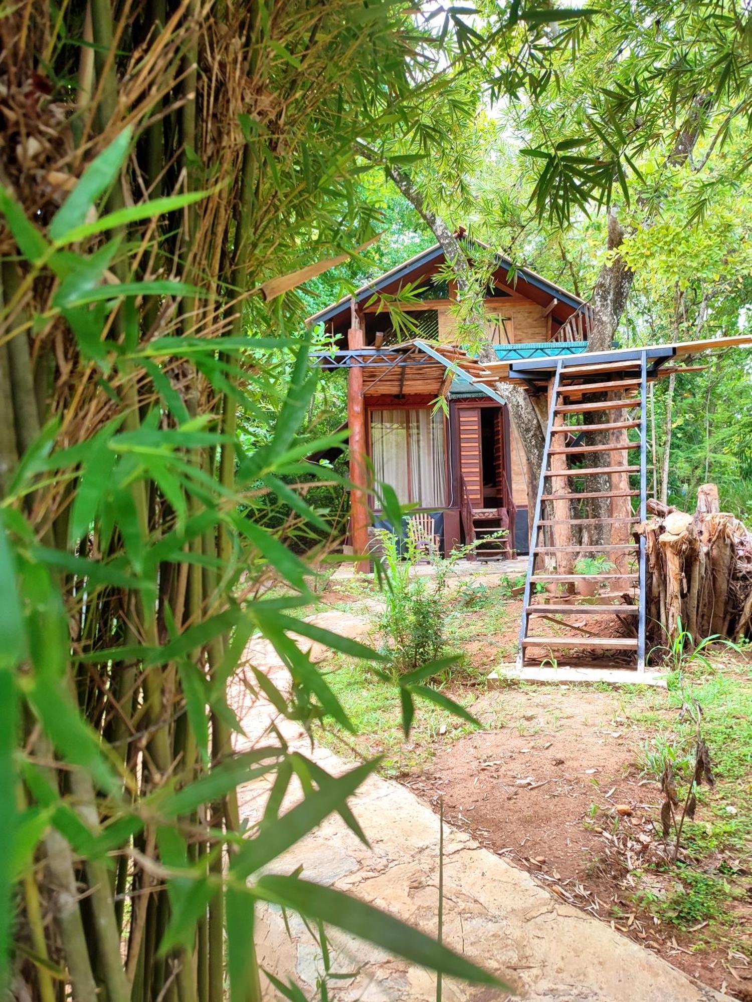 Hasthi Safari Cottage Удавалаве Екстер'єр фото