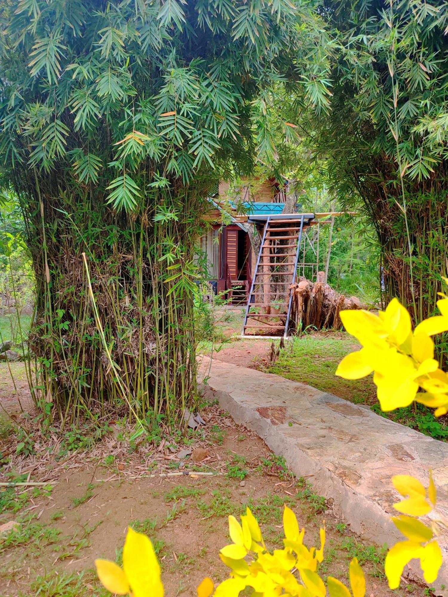 Hasthi Safari Cottage Удавалаве Екстер'єр фото
