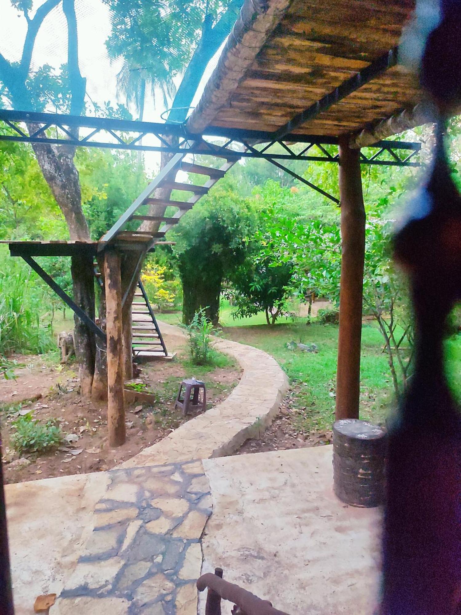 Hasthi Safari Cottage Удавалаве Екстер'єр фото