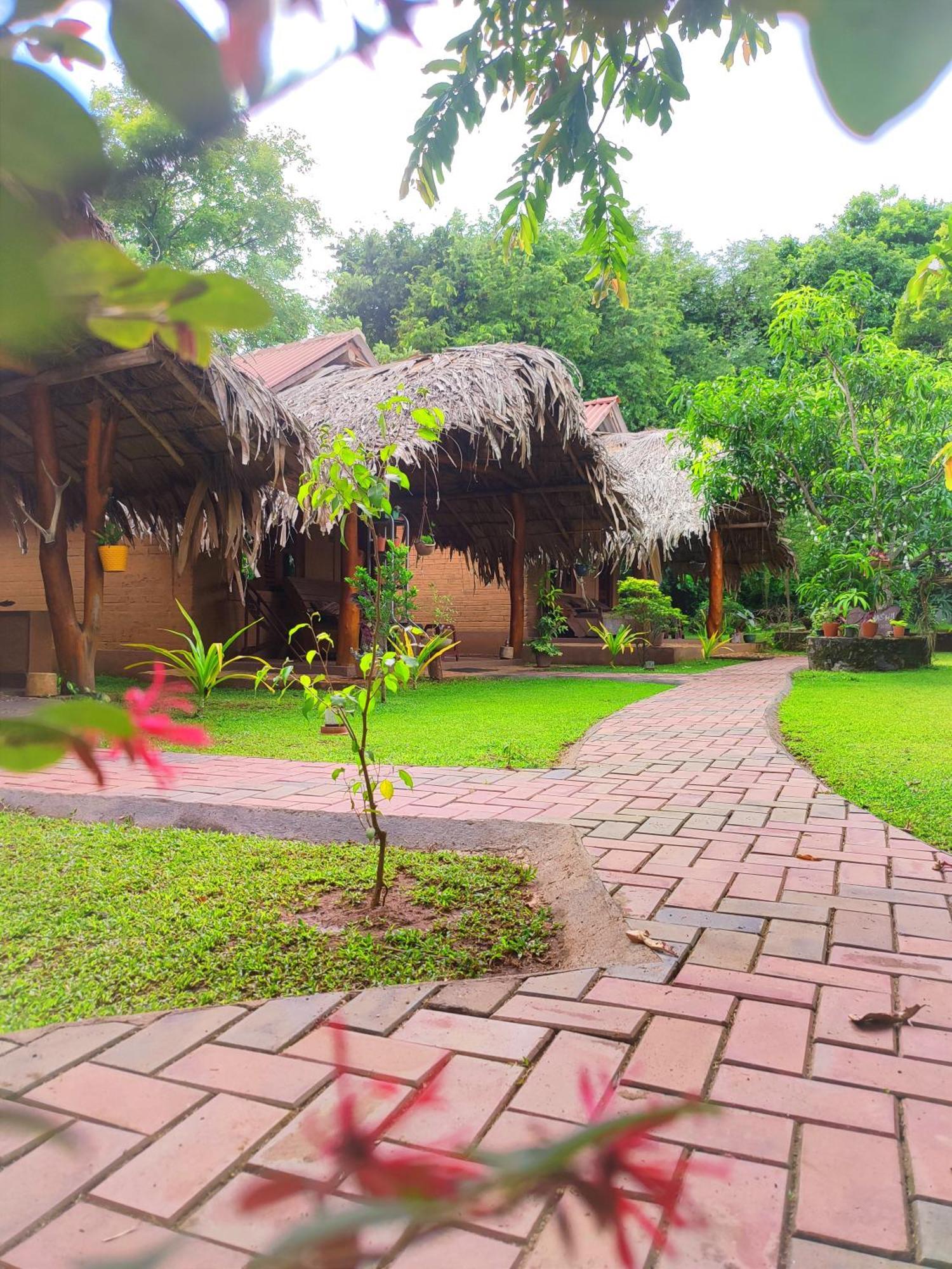 Hasthi Safari Cottage Удавалаве Екстер'єр фото