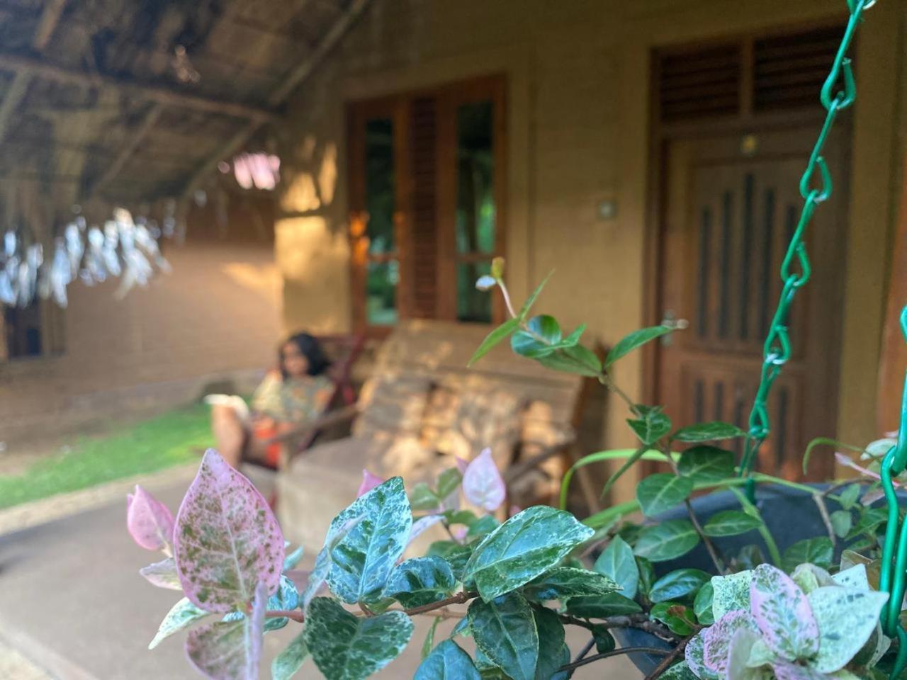 Hasthi Safari Cottage Удавалаве Екстер'єр фото