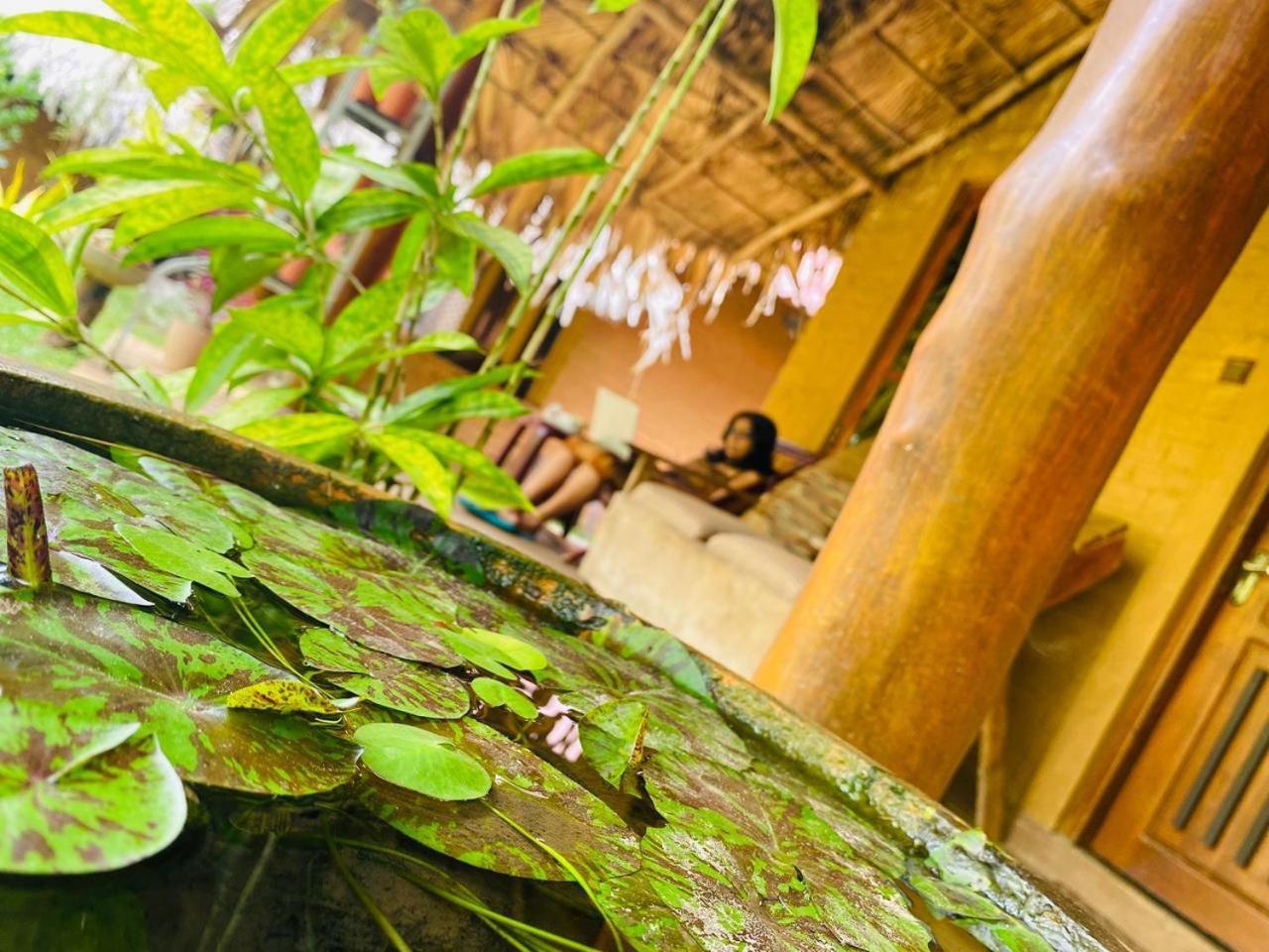 Hasthi Safari Cottage Удавалаве Екстер'єр фото