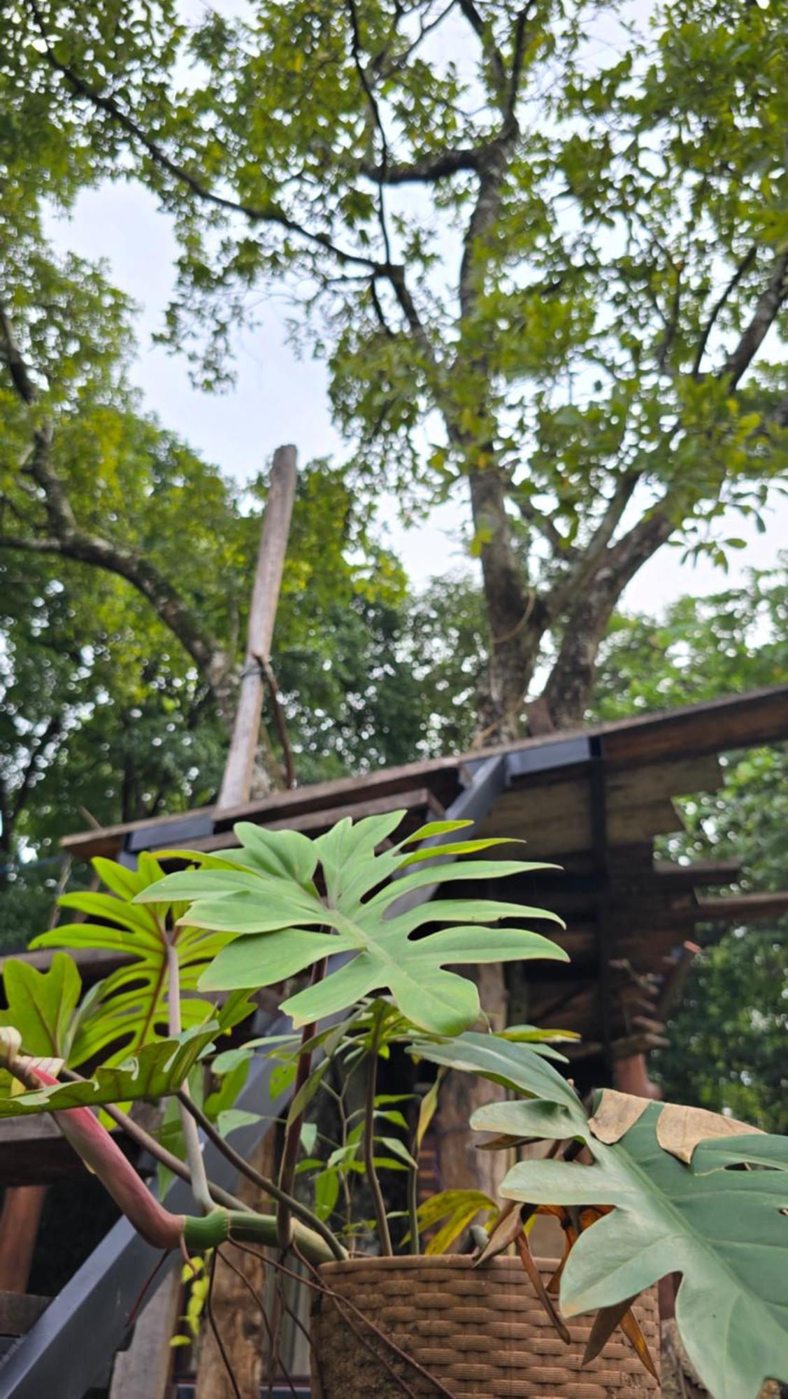 Hasthi Safari Cottage Удавалаве Екстер'єр фото